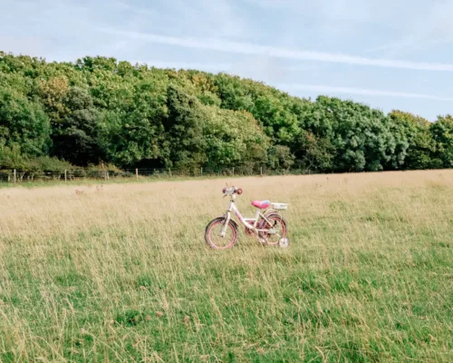 Brook - MP Osborne Isle of Wight Landscape Photography