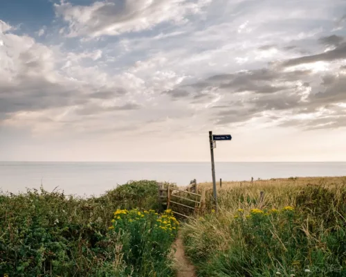 Brook - MP Osborne Isle of Wight Landscape Photography