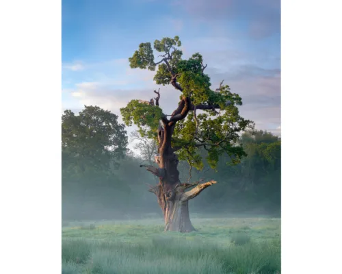 M.P. Osborne landscape photography Isle of Wight