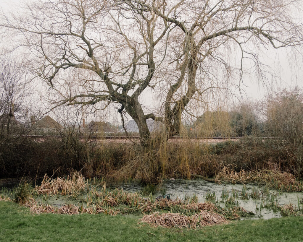 Isle of Wight Landscapes