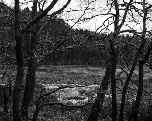 Using limitations to increase creativity in lanscape photography